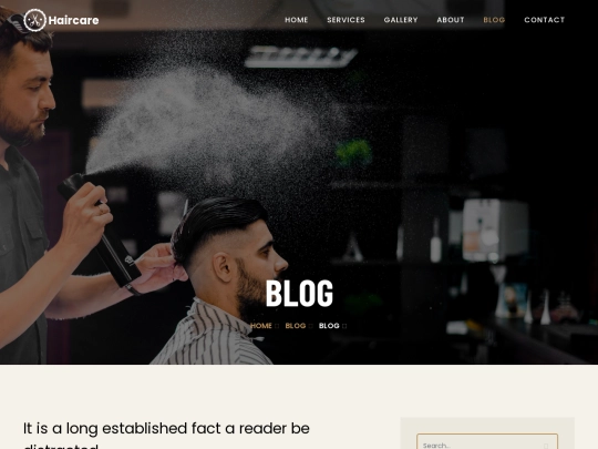 blog-single screenshot