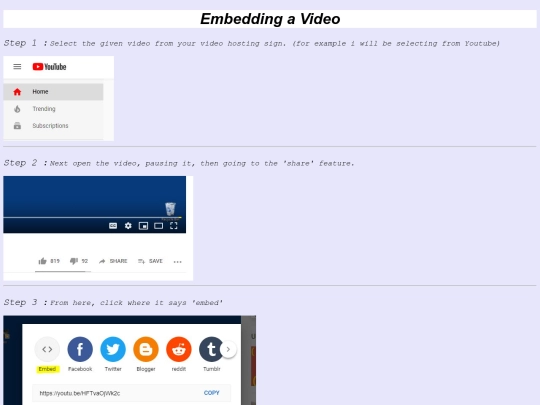 videoembed/tut screenshot
