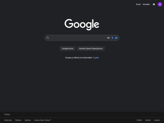google screenshot