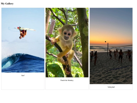 imagegallery screenshot