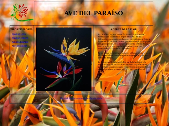avedelparaiso screenshot
