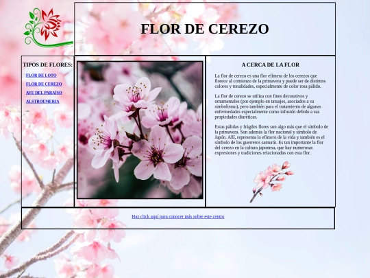 flordecerezo screenshot
