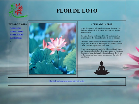 flordeloto2 screenshot