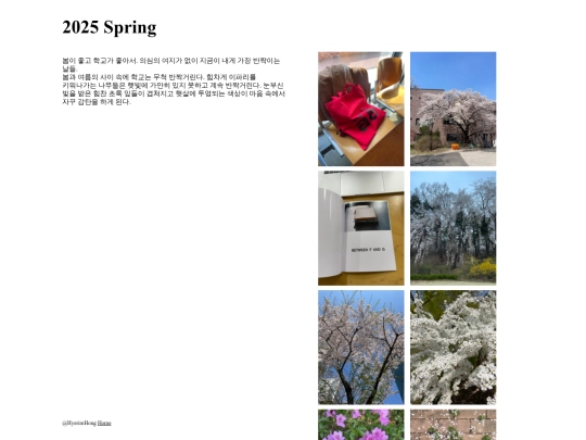 Place.of.Hyerim/spring pattern/spring pattern screenshot