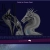 chroniclerenigma.yorniq.xyz avatar