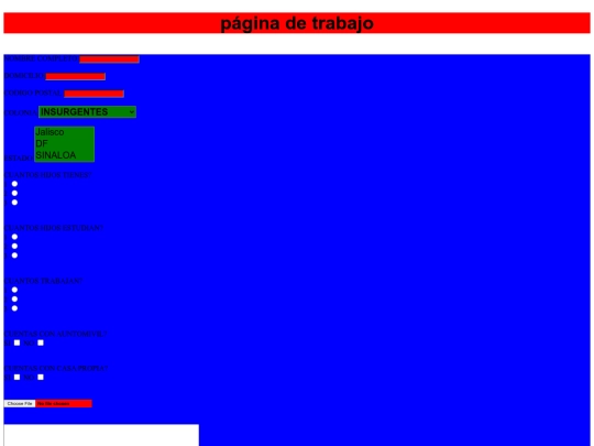formulario screenshot