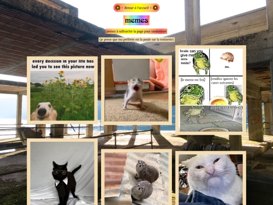 memes screenshot