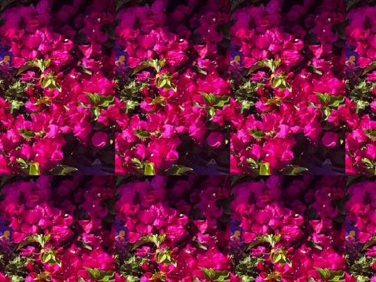 creator screenshot