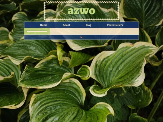blank-page screenshot