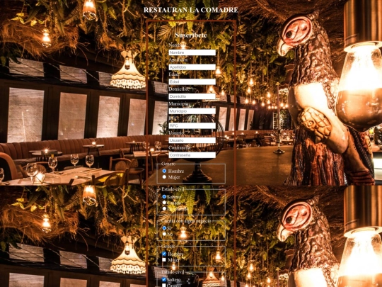 web screenshot