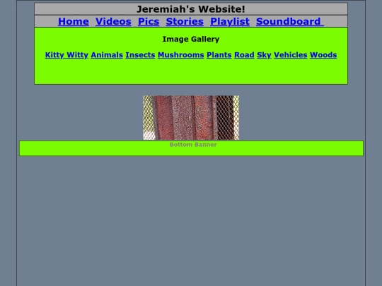 pics_html/insects screenshot