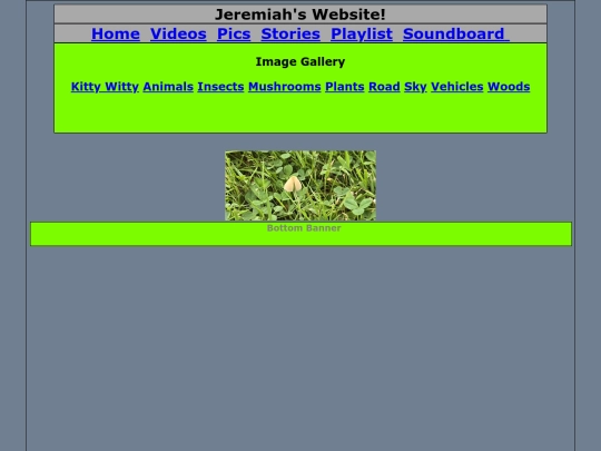 pics_html/mushrooms screenshot