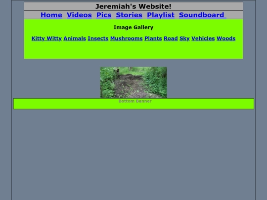 pics_html/woods screenshot
