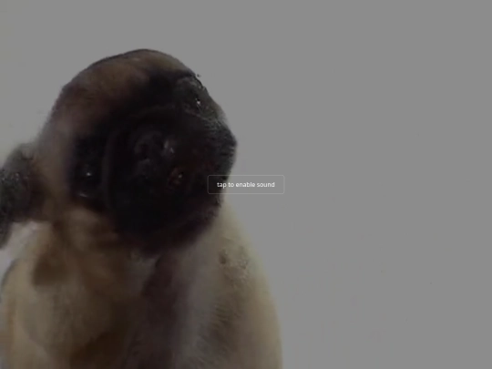 sanger screenshot