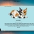thecalicove.yorniq.xyz avatar