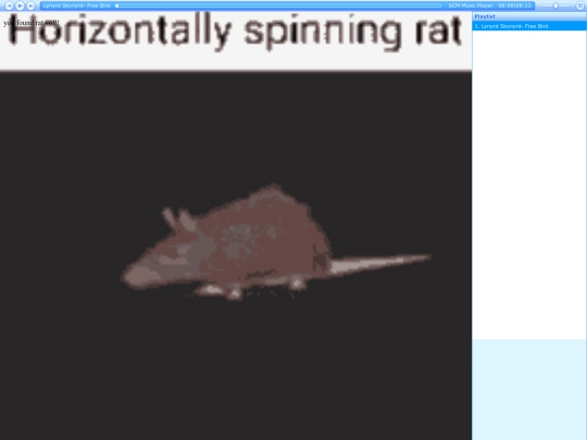 rat screenshot