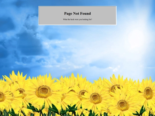 not_found screenshot
