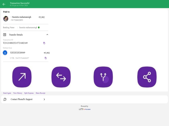 received payment screenshot