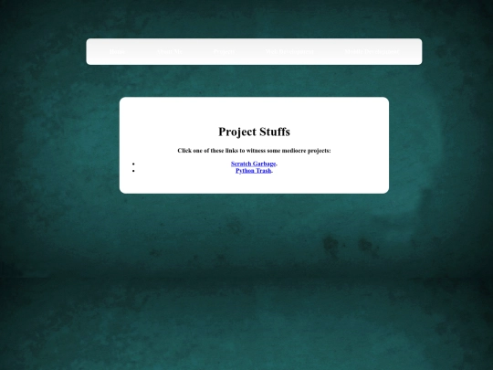 projects screenshot