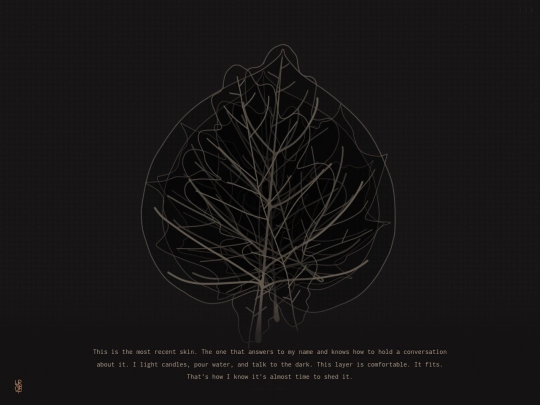 path/skin screenshot