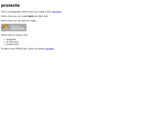 projects screenshot