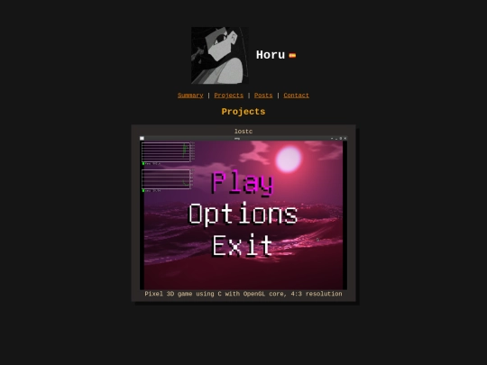 projects screenshot