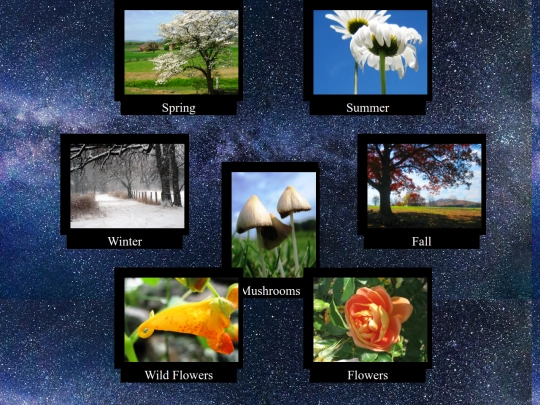 SnapShotsPick screenshot