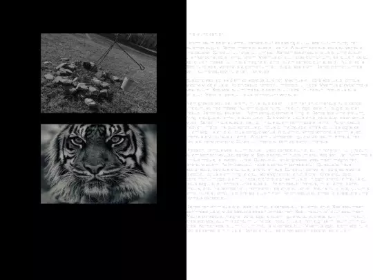 projects/Transitions screenshot