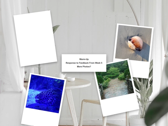 Week_6 screenshot