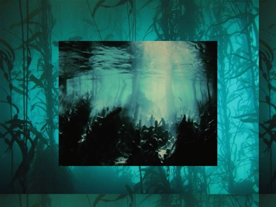 siren screenshot