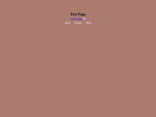 projects screenshot