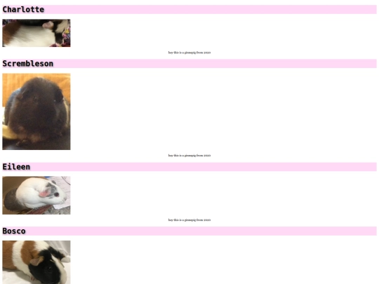 ginnepigs screenshot