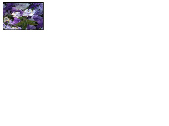 ejercicio4/index2 screenshot