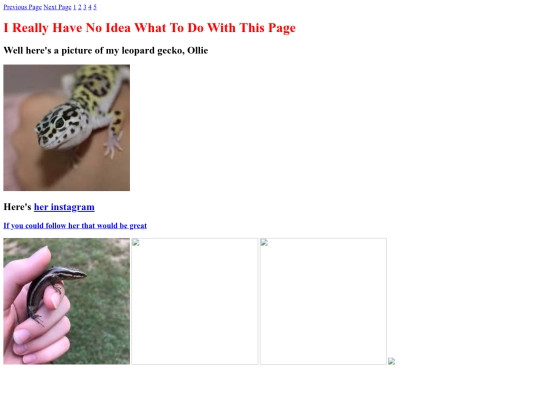 gecko2 screenshot