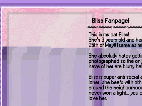 cat screenshot