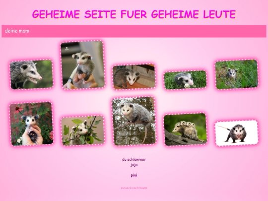 geheim screenshot