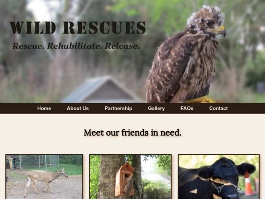 lab2-wild-rescue/gallery screenshot