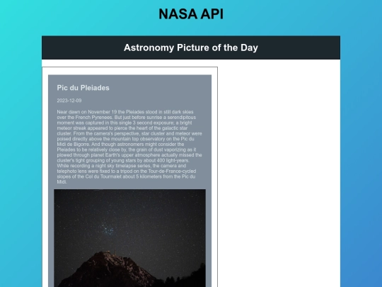 API-Vanilla-JavaScript-main screenshot