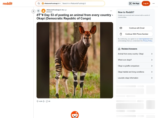 Okapi screenshot