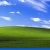 wizzystudio's avatar