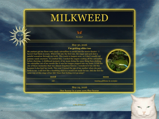 diary screenshot
