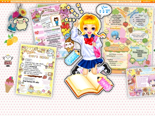 webmaster screenshot