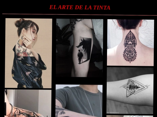 Galeria de fotografias screenshot