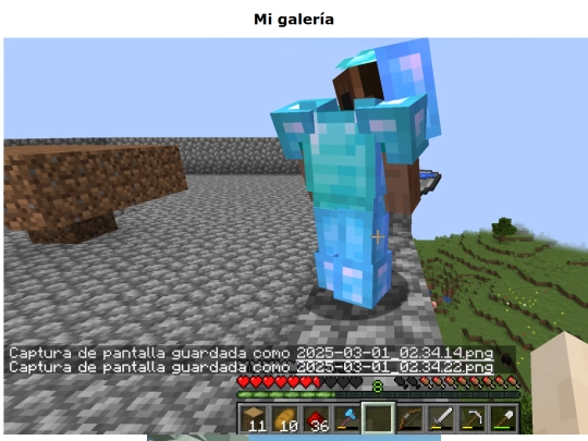 gallery screenshot