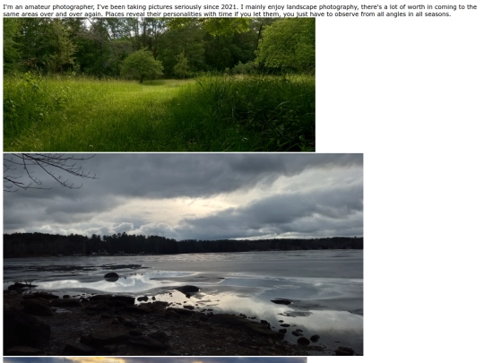 Photoalbum screenshot