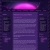 funkychaoticsite.yorniq.xyz avatar