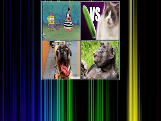 links1 screenshot