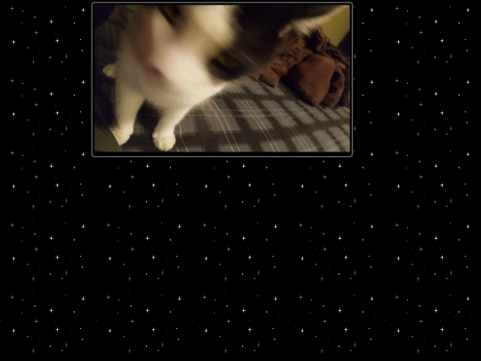 steve5 screenshot