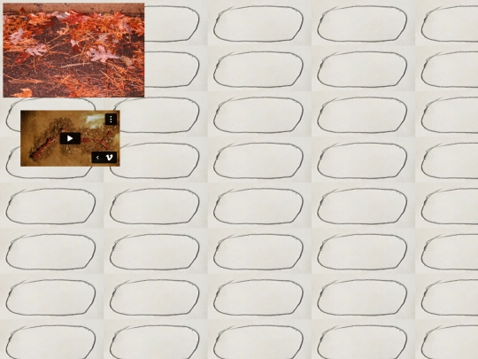 twig screenshot