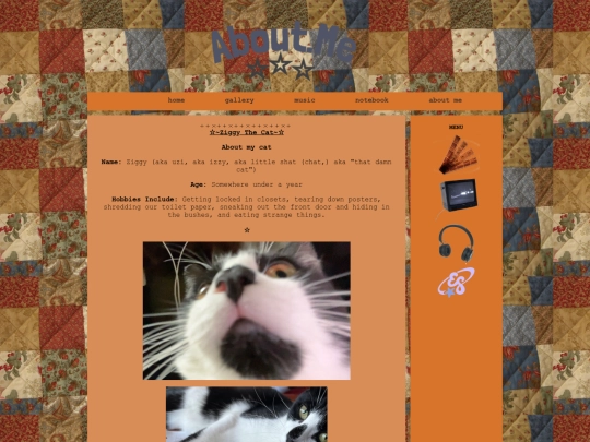 cat screenshot